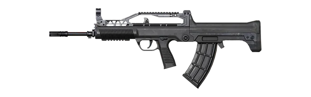 QBZ